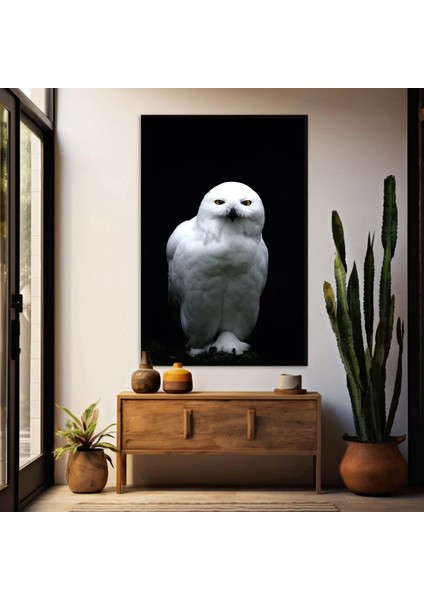 Beyaz Baykuş Kanvas Tablo