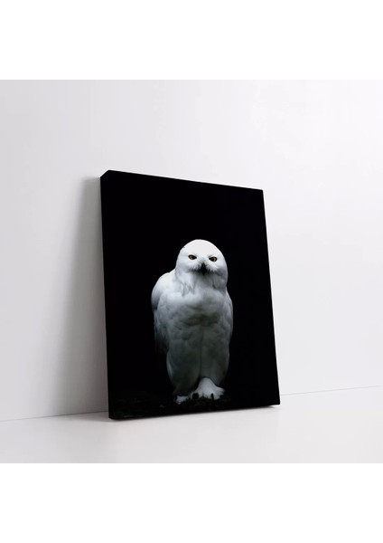Beyaz Baykuş Kanvas Tablo fiyatları