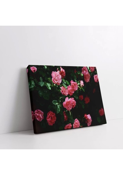 Pembe Gül Çiçekleri Kanvas Tablo