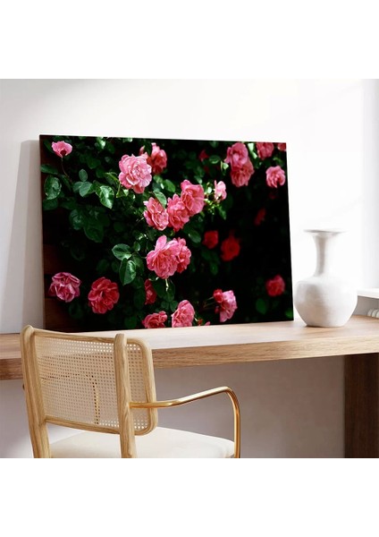 Pembe Gül Çiçekleri Kanvas Tablo