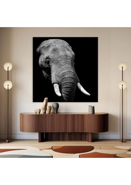 Savana Hikayeleri Kanvas Tablo