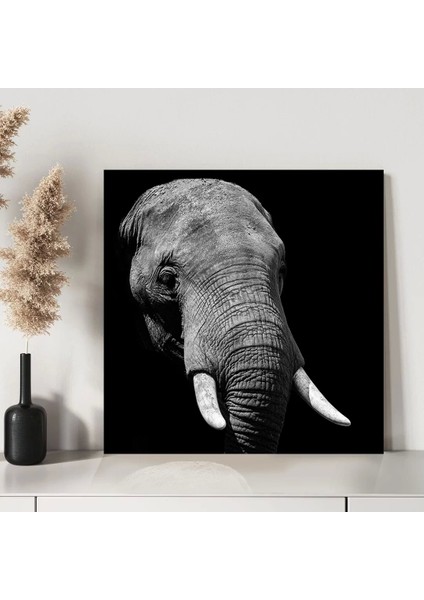 Savana Hikayeleri Kanvas Tablo modelleri