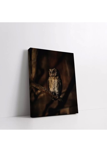 Daldaki Baykuş Kanvas Tablo fiyatları