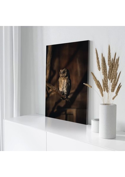 Daldaki Baykuş Kanvas Tablo modelleri