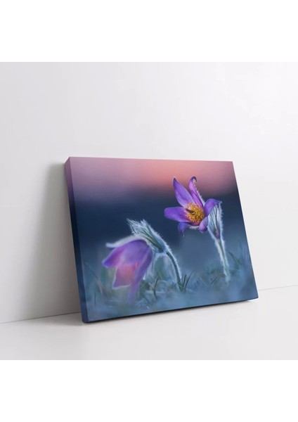 Ilkbahar Kır Çiçeği Kanvas Tablo fiyatları