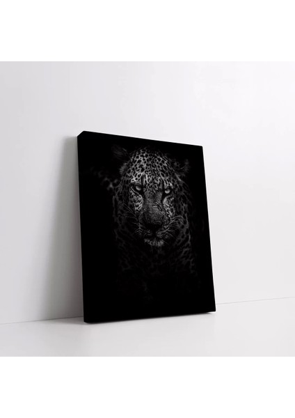 Karanlıktan Gelen Kaplan Kanvas Tablo fiyatları