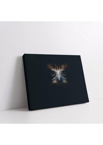 Sessiz Baykuş Kanvas Tablo fiyatları