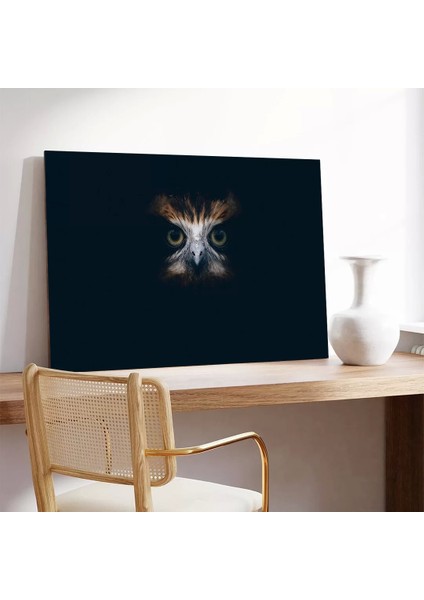 Sessiz Baykuş Kanvas Tablo modelleri