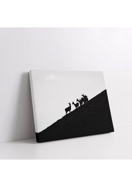 Dağcılar Kanvas Tablo fiyatları