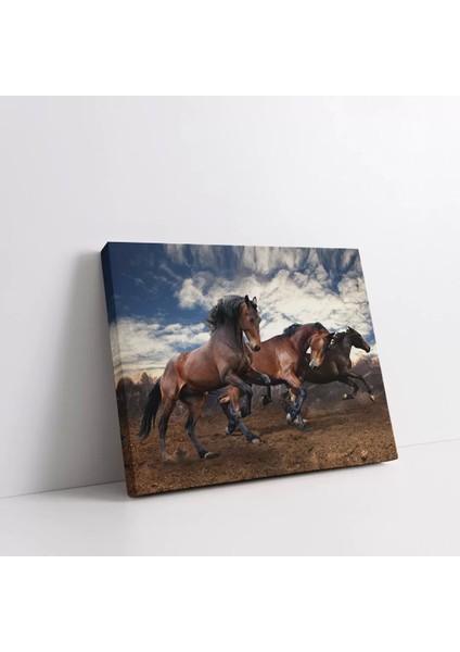 Vahşi Atlar Kanvas Tablo fiyatları