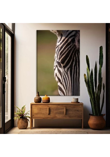 Siyah Beyaz Çizgili Zebra Kanvas Tablo