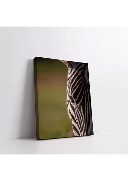 Siyah Beyaz Çizgili Zebra Kanvas Tablo fiyatları