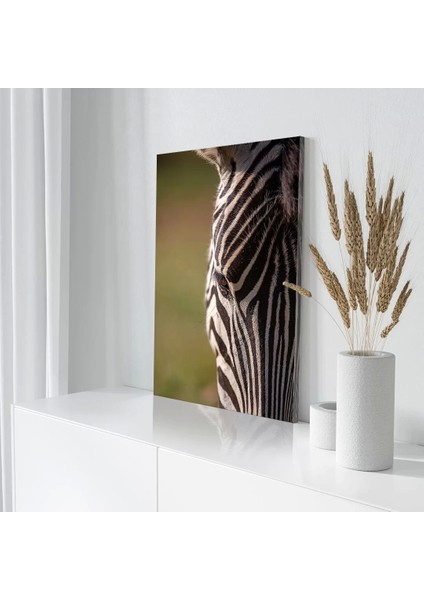Siyah Beyaz Çizgili Zebra Kanvas Tablo modelleri