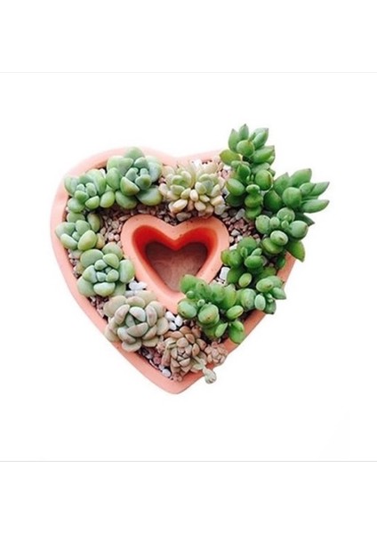 Kalp Saksı Silikon Kalıp K-578 fırsatları