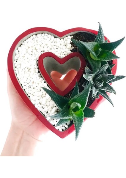 Kalp Saksı Silikon Kalıp K-578 indirimleri