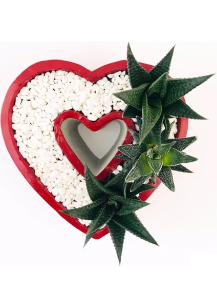 Kalp Saksı Silikon Kalıp K-578