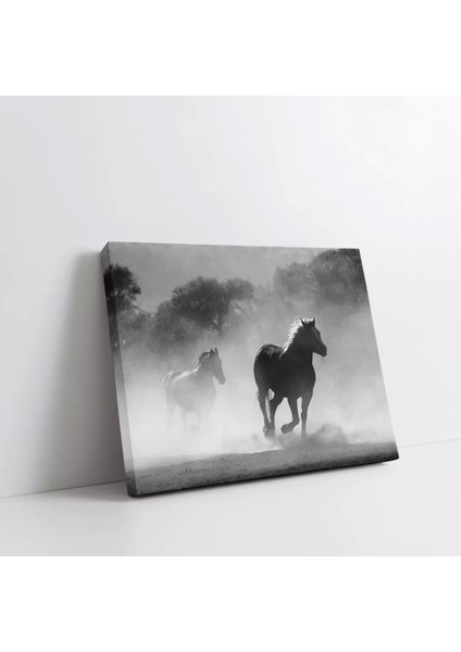 Misty Atlar Kanvas Tablo fiyatları