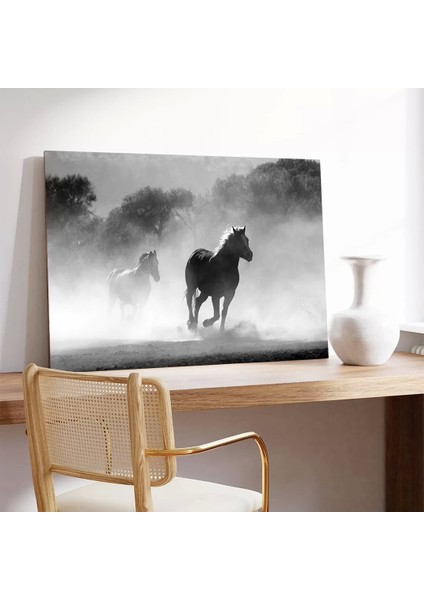 Misty Atlar Kanvas Tablo modelleri