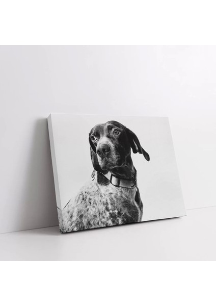 Köpek Portresi Kanvas Tablo fiyatları