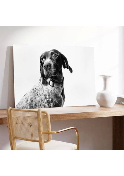 Köpek Portresi Kanvas Tablo modelleri