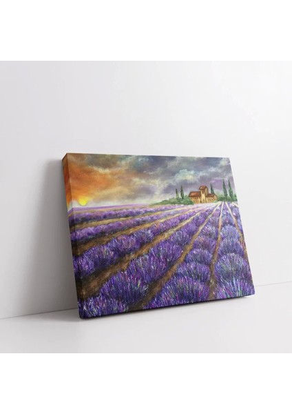 Lavanta Tarlalarının Büyüsü Kanvas Tablo fiyatları
