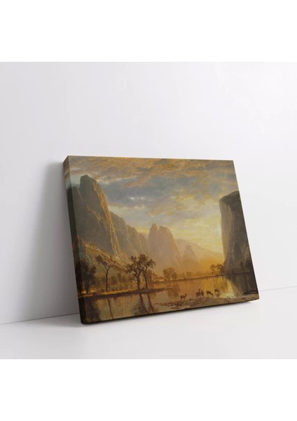 Göz Alıcı Yansımalar Kanvas Tablo fiyatları