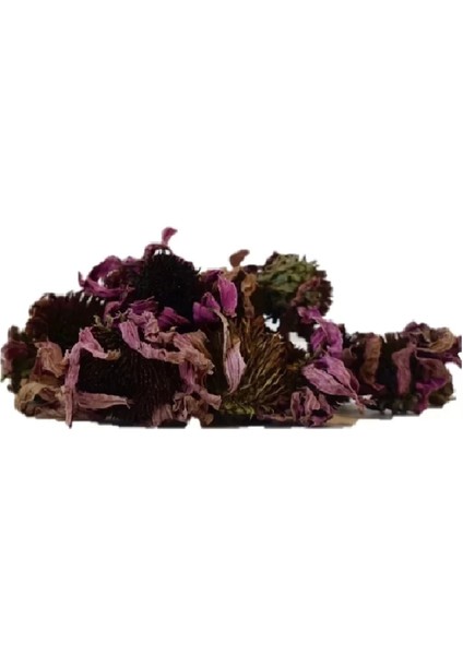 Ekinezya Çiçeği (Echinacea Angustifolia) 100gr