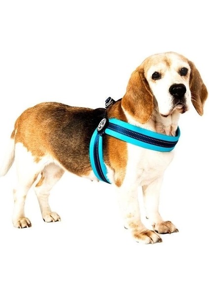 Q-Fit Matrix Köpek Göğüs Tasması Xxsmall Sarı 31-34 cm