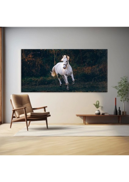 Yalnızlık Majestesi Kanvas Tablo