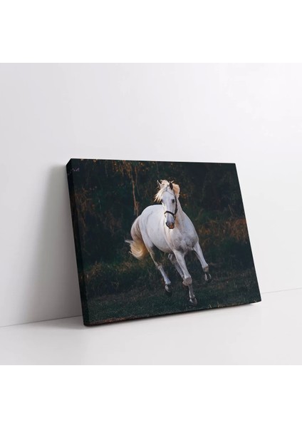 Yalnızlık Majestesi Kanvas Tablo fiyatları