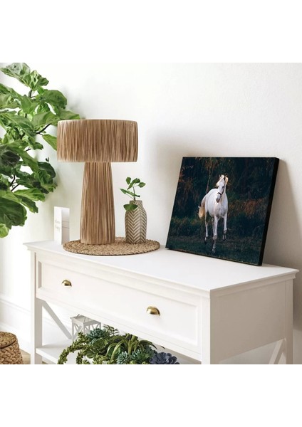 Yalnızlık Majestesi Kanvas Tablo modelleri