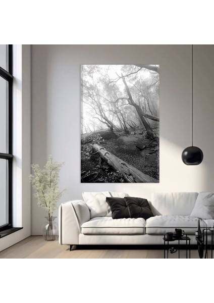 Ormanın Gizemi Kanvas Tablo