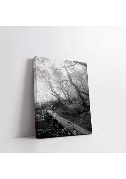 Ormanın Gizemi Kanvas Tablo fiyatları