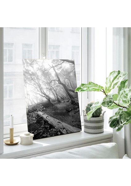 Ormanın Gizemi Kanvas Tablo modelleri