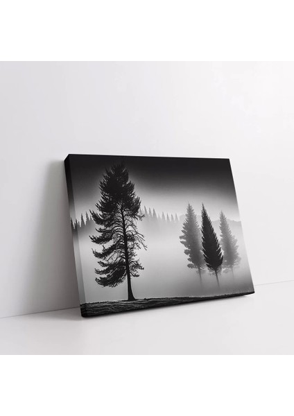 Saklı Orman Kanvas Tablo fiyatları