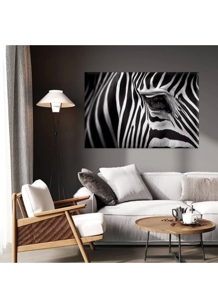 Zebra Desenleri Kanvas Tablo