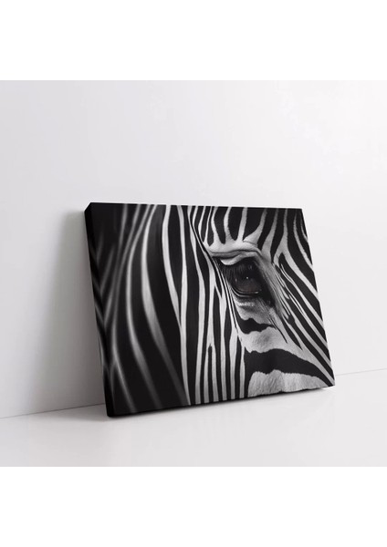 Zebra Desenleri Kanvas Tablo fiyatları