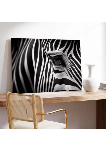 Zebra Desenleri Kanvas Tablo modelleri