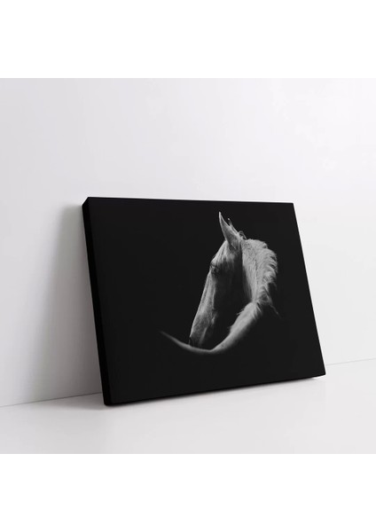 Asil At Portresi Kanvas Tablo fiyatları