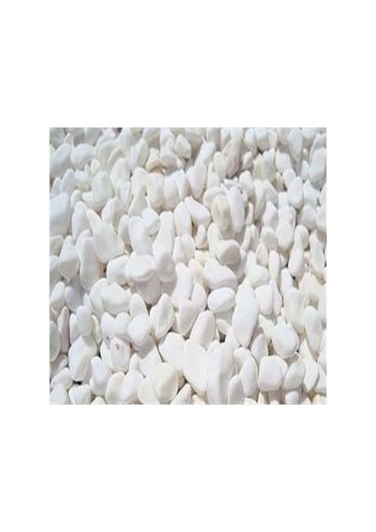 Tamburlanmış Dolamit Çakıl (Küçük 1-3cm)-(Orta 2-4cm)-(Büyük 4-6cm) Dekoratif Süs Taşlar fiyatları