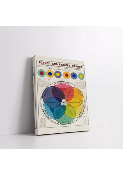 Renk Çarkı Kanvas Tablo fiyatları