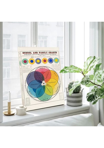 Renk Çarkı Kanvas Tablo modelleri