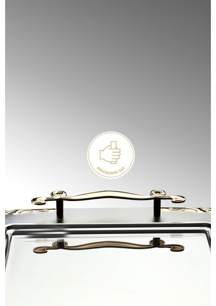 Tekno Trust Paslanmaz Çelik - Lalezar Altın - Sade Çelik Çay Tepsi - Altın - 48 x 33 fırsatları