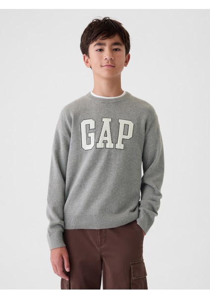 Erkek Çocuk Gri Gap Logo Intarsia Kazak