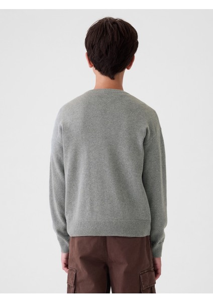 Erkek Çocuk Gri Gap Logo Intarsia Kazak