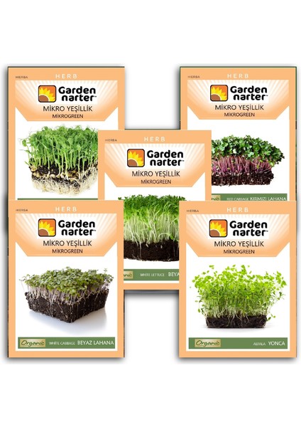 5 Paket Mikro Yeşillik Için Microgreen Organik Marul Lahana Yonca Bezelye Kırmızı Lahana Tohumu