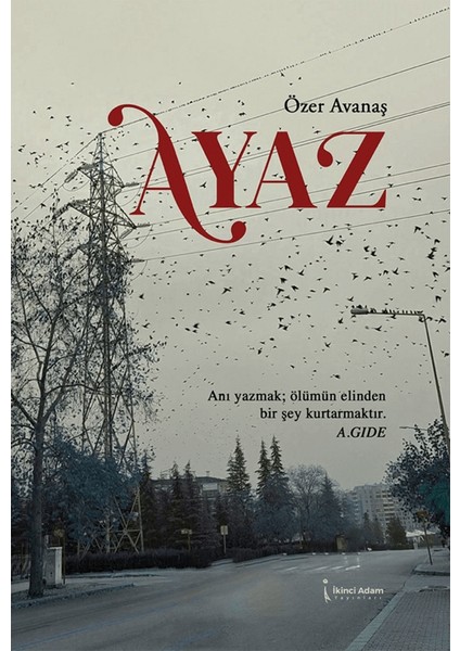 Ayaz - Özer Avanaş