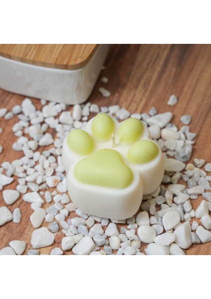 Pati Figürlü Rengarenk ve Kokulu Dekoratif Doğal Soya Mumu indirimleri