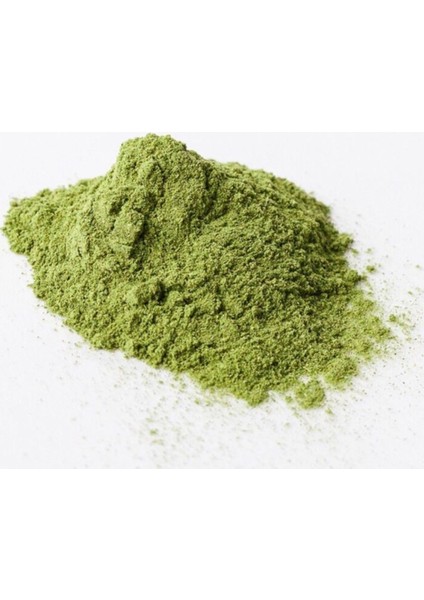 Gaziantep Moringa Tozu