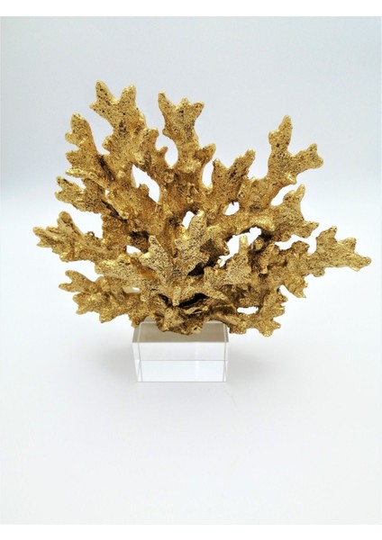 Kristal Kaideli Mercan Gold